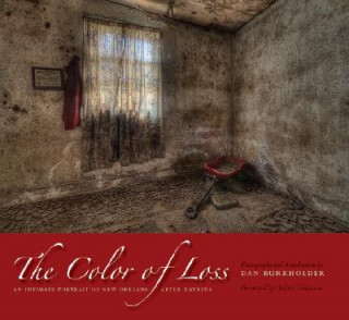 Kniha Color of Loss Andrei Codrescu