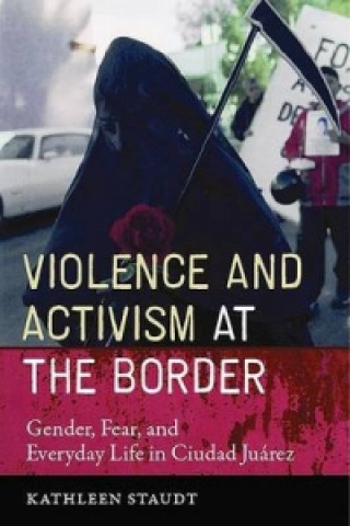 Buch Violence and Activism at the Border Kathleen Staudt