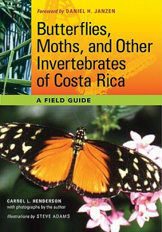Carte Butterflies, Moths, and Other Invertebrates of Costa Rica Carrol L. Henderson