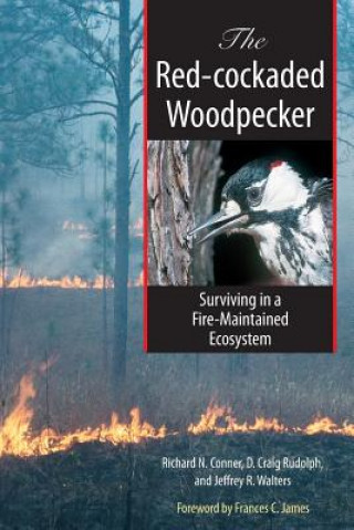 Carte The Red-cockaded Woodpecker Jeffrey R. Walters