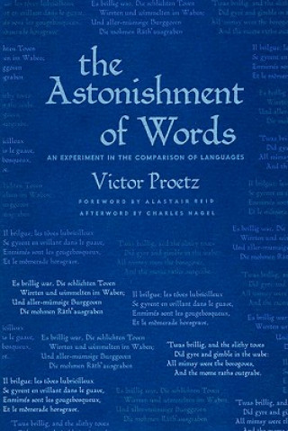 Könyv Astonishment of Words Victor Proetz