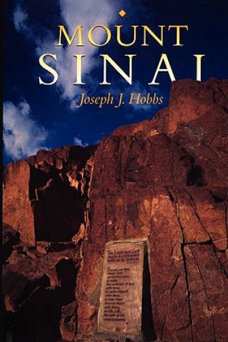 Book Mount Sinai Joseph J. Hobbs