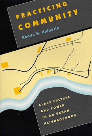 Book Practicing Community Rhoda Halperin