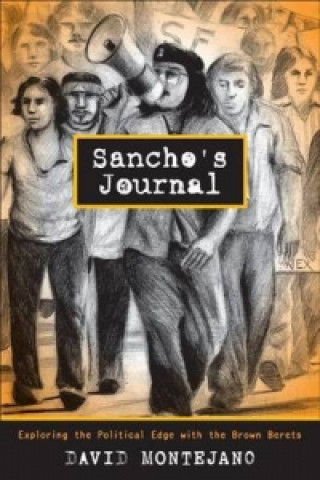 Könyv Sancho's Journal David Montejano