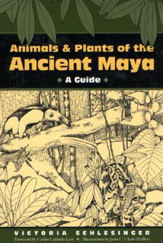 Könyv Animals and Plants of the Ancient Maya Victoria Schlesinger