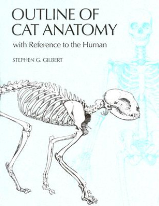 Kniha Outline of Cat Anatomy with Reference to the Human Stephen G. Gilbert