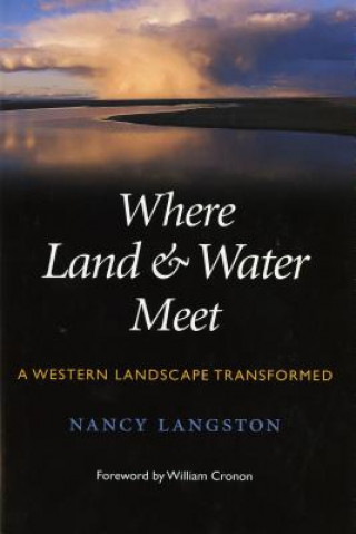 Knjiga Where Land and Water Meet Nancy Langston