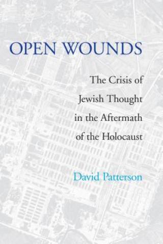 Книга Open Wounds David Patterson