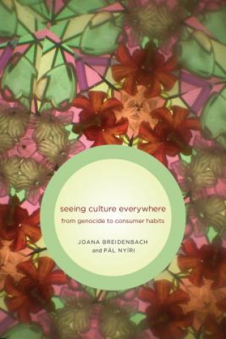 Kniha Seeing Culture Everywhere Joana Breidenbach