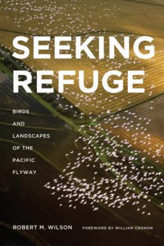 Livre Seeking Refuge Robert M. Wilson