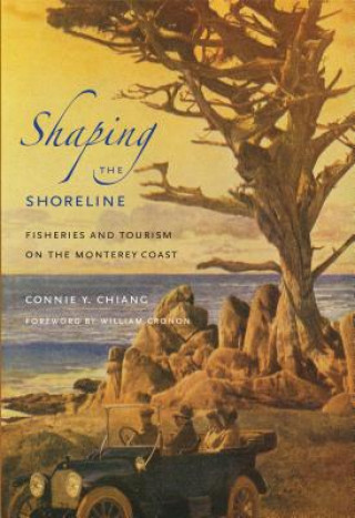 Kniha Shaping the Shoreline Connie Y. Chiang