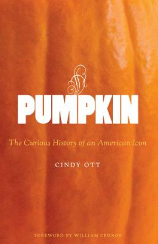 Kniha Pumpkin Cindy Ott