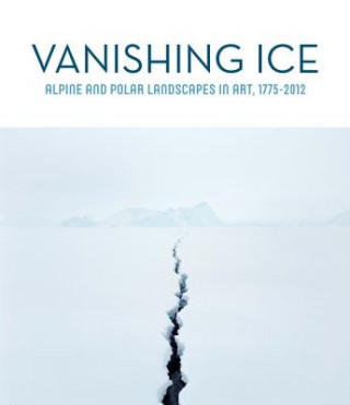 Kniha Vanishing Ice Barbara C. Matilsky