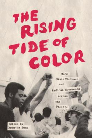 Buch Rising Tide of Color 