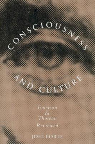 Kniha Consciousness and Culture Joel Porte