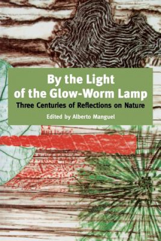 Książka By The Light Of The Glow-worm Lamp Alberto Maguel
