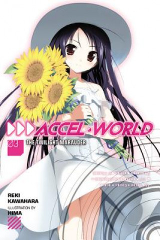 Carte Accel World, Vol. 3 (light novel) Reki Kawahara
