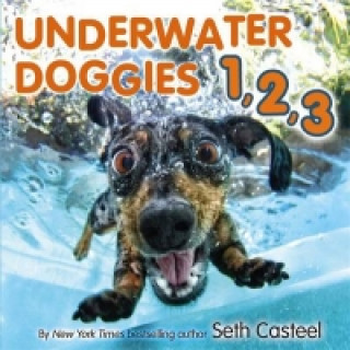 Carte Underwater Doggies 1,2,3 Seth Casteel