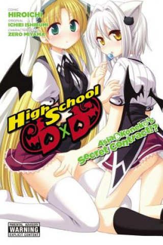 Könyv High School DxD: Asia & Koneko's Secret Contract!? Hiroichi