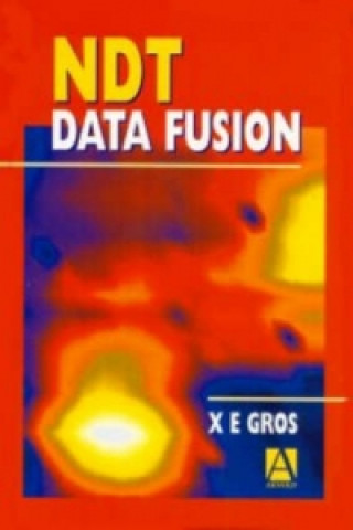 Könyv NDT Data Fusion Xavier Gros