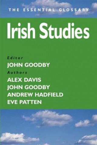 Knjiga Irish Studies Alex Davis