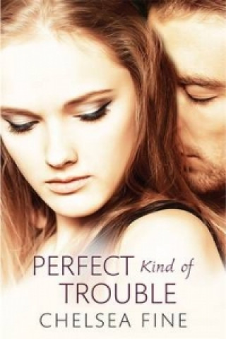 Book Perfect Kind of Trouble Chelsea Fine