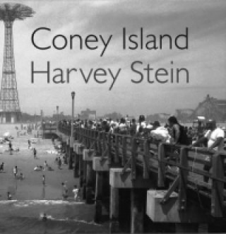 Książka Coney Island Harvey Stein