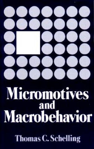 Kniha Micromotives and Macrobehaviour Thomas C. Schelling