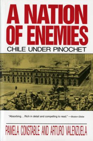 Kniha Nation of Enemies Arturo Valenzuela
