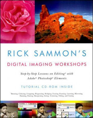 Kniha Rick Sammon's Digital Imaging Workshops Rick Sammon