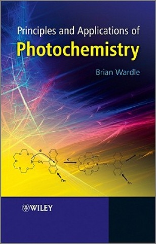 Kniha Principles and Applications of Photochemistry Brian Wardle