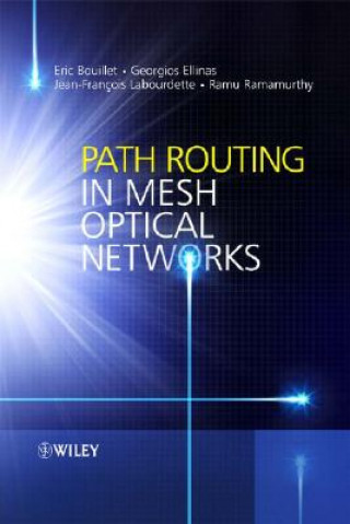 Książka Path Routing in Mesh Optical Networks Eric Bouillet