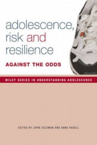 Kniha Adolescence, Risk and Resilience 