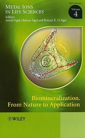 Kniha Biomineralization - From Nature to Application V 4 Astrid Sigel