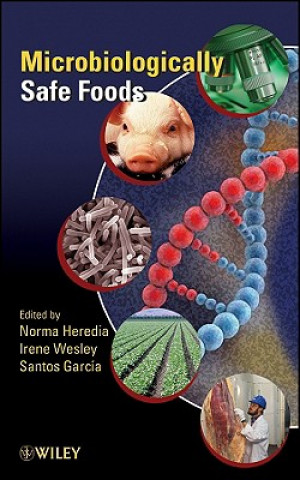 Kniha Microbiologically Safe Foods Jose Santos Garcia