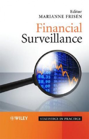 Kniha Financial Surveillance Marianne Frisen