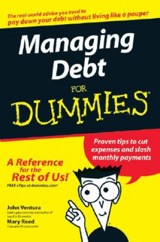 Book Managing Debt For Dummies John Ventura