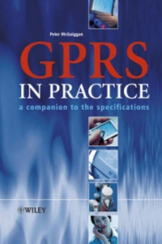 Knjiga GPRS in Practice - A Companion to the Specifications Peter McGuiggan