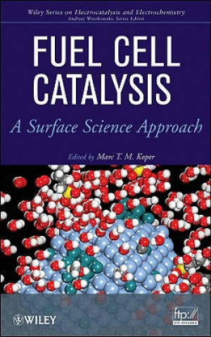 Kniha Fuel Cell Catalysis - A Surface Science Approach Andrzej Wieckowski