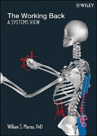 Kniha Working Back - A Systems View William S. Marras