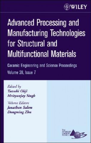Carte Advanced Processing and Manufacturing Technologies  for Structural and Multifunctional Materials 7 Jonathan Salem