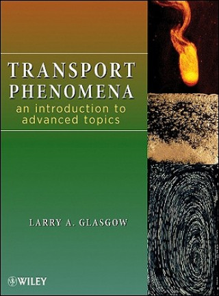 Knjiga Transport Phenomena Larry A. Glasgow