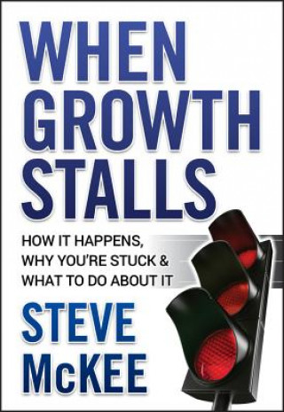 Knjiga When Growth Stalls Steve McKee