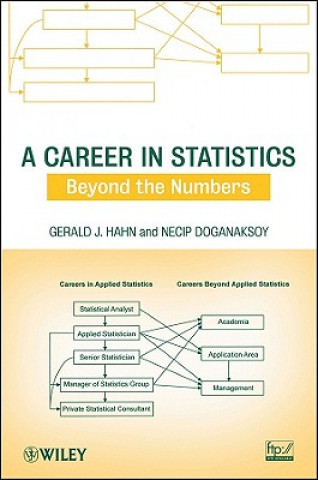 Könyv Career in Statistics - Beyond the Numbers Gerald J. Hahn