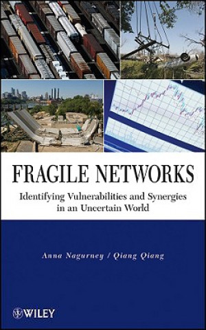 Book Fragile Networks Anna Nagurney