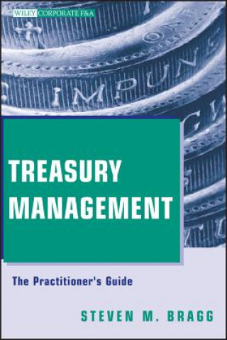 Kniha Treasury Management - The Practitioner's Guide Steven M Bragg