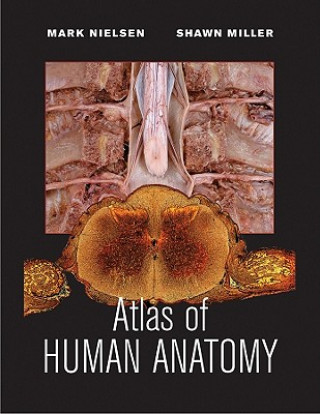 Carte Atlas of Human Anatomy 1e (WSE) Mark Nielsen