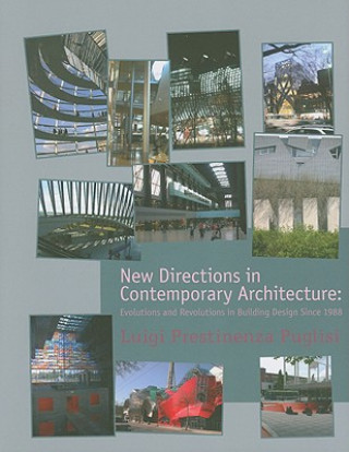 Kniha New Directions in Contemporary Architecture Luigi Prestinenza Puglisi