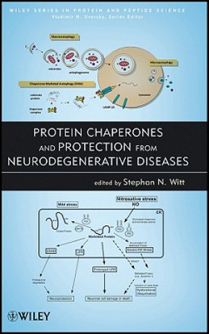 Książka Protein Chaperones and Protection from Neurodegenerative Diseases Stephan N. Witt