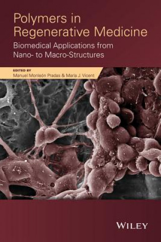 Carte Polymers in Regenerative Medicine - Biomedical Applications from Nano- to Macro-Structures Manuel Monleon Pradas